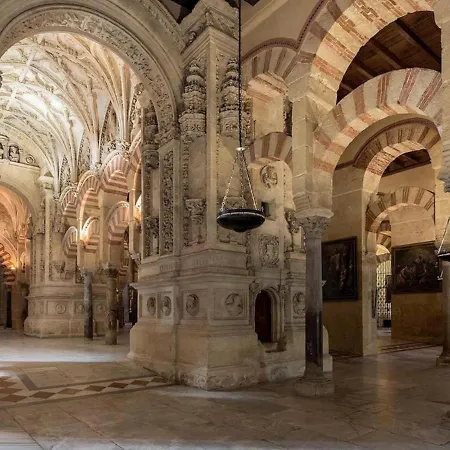 Wifi Moderno Coqueto Junto Mezquita *
